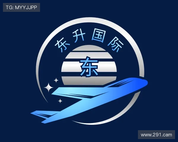 发现东升国际